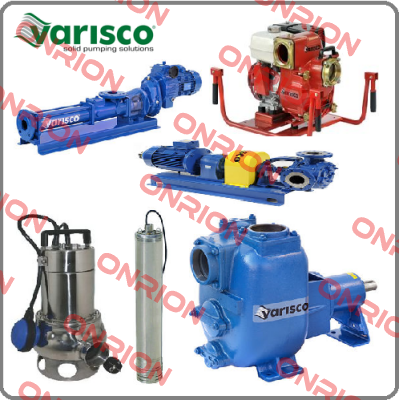 10008958 Varisco pumps