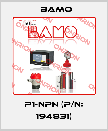 P1-NPN (P/N: 194831) Bamo