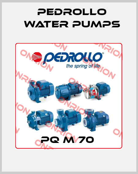 PQ m 70  Pedrollo Water Pumps