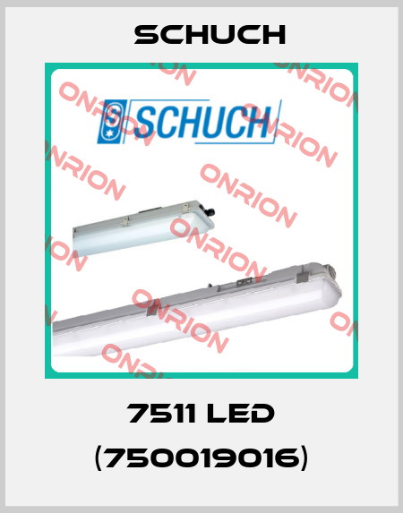 7511 LED (750019016) Schuch