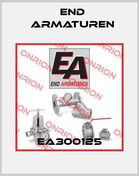EA300125 End Armaturen
