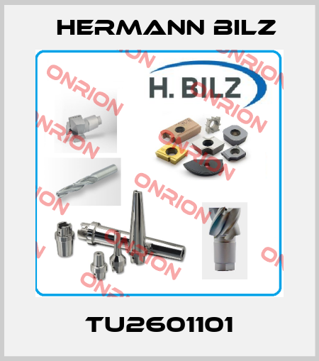TU2601101 Hermann Bilz