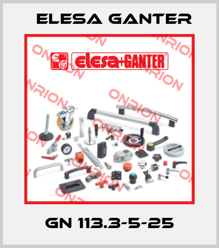 GN 113.3-5-25 Elesa Ganter