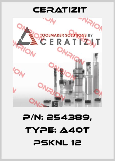 P/N: 254389, Type: A40T PSKNL 12 Ceratizit
