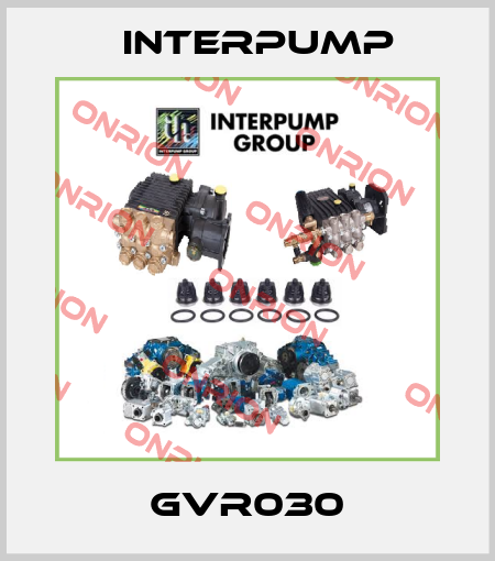 GVR030 Interpump