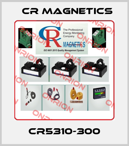 CR5310-300 Cr Magnetics