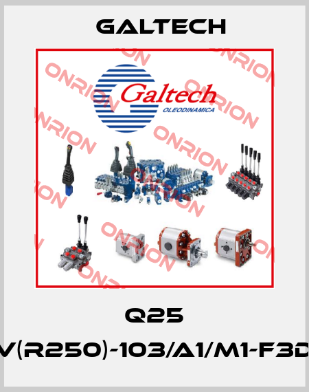 Q25 -F1SV(R250)-103/A1/M1-F3D-P-T Galtech