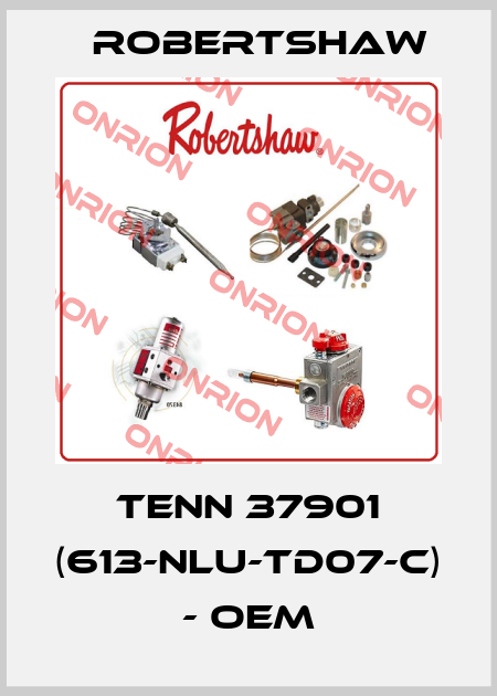 TENN 37901 (613-NLU-TD07-C) - OEM Robertshaw