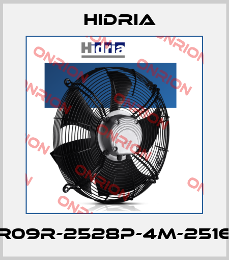 R09R-2528P-4M-2516 Hidria