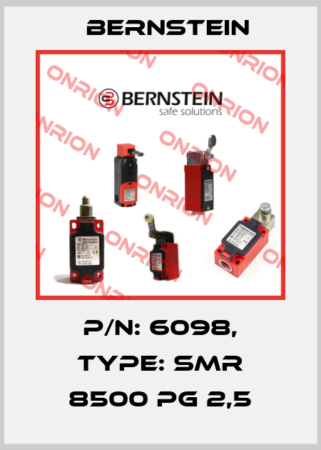 P/N: 6098, Type: SMR 8500 PG 2,5 Bernstein