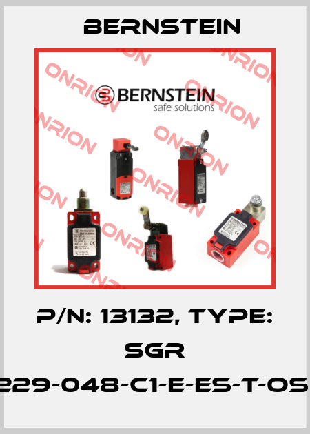 P/N: 13132, Type: SGR 15-229-048-C1-E-ES-T-OSE-5 Bernstein