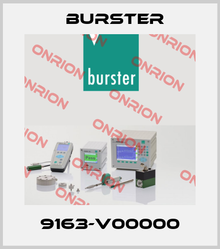 9163-V00000 Burster