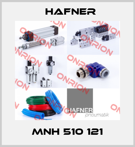 MNH 510 121 Hafner