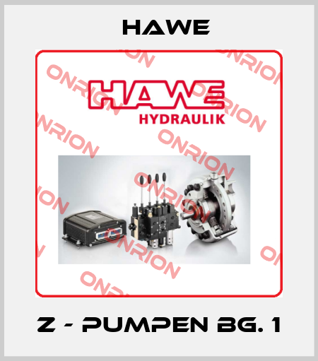 Z - Pumpen Bg. 1 Hawe