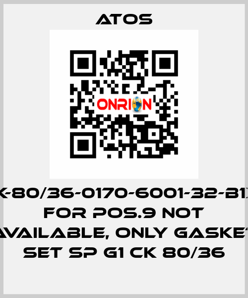 CK-80/36-0170-6001-32-B1X1 for Pos.9 not available, only gasket set SP G1 CK 80/36 Atos