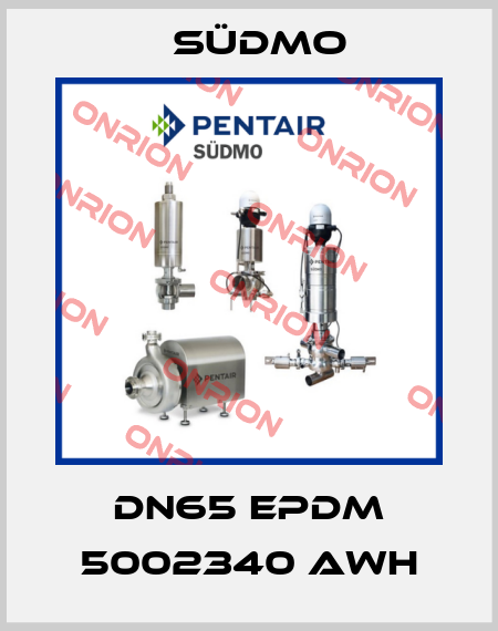 DN65 EPDM 5002340 AWH Südmo