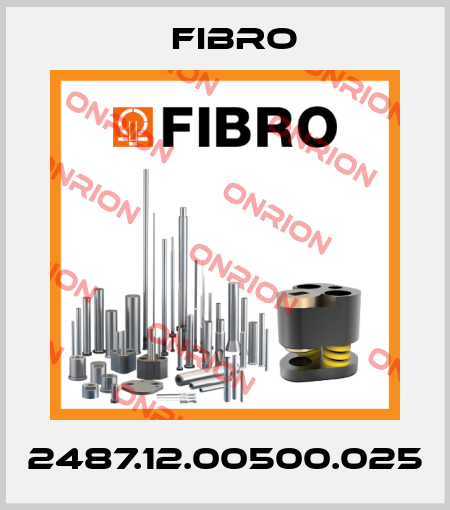 2487.12.00500.025 Fibro