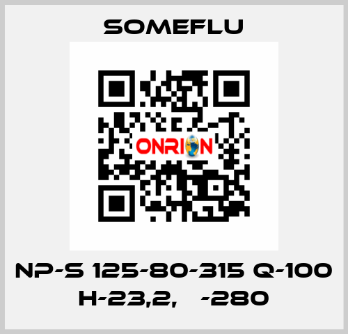 NP-S 125-80-315 Q-100 H-23,2, Ф-280 SOMEFLU