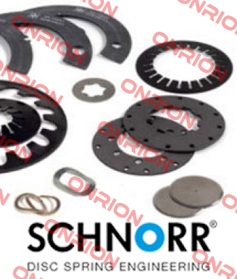 243 600 (pack x100) Schnorr