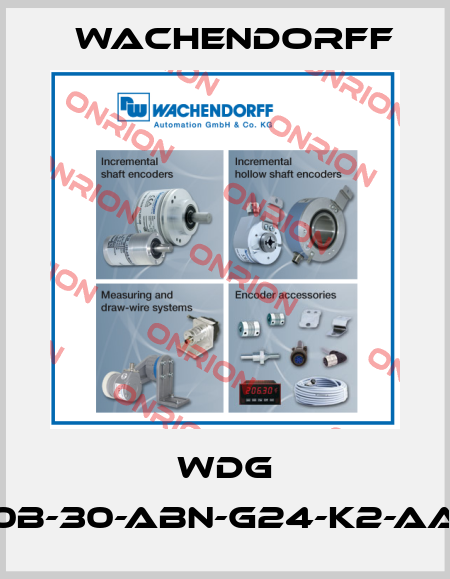 WDG 50B-30-ABN-G24-K2-AAC Wachendorff