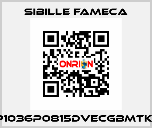 VDP1036P0815DVECGBMTKRI1T Sibille Fameca