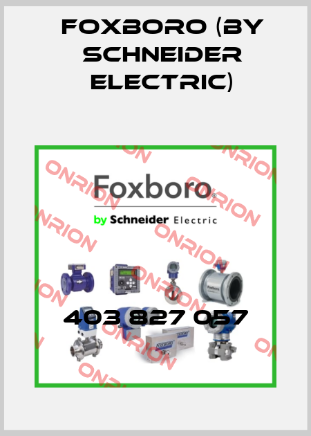 403 827 057 Foxboro (by Schneider Electric)