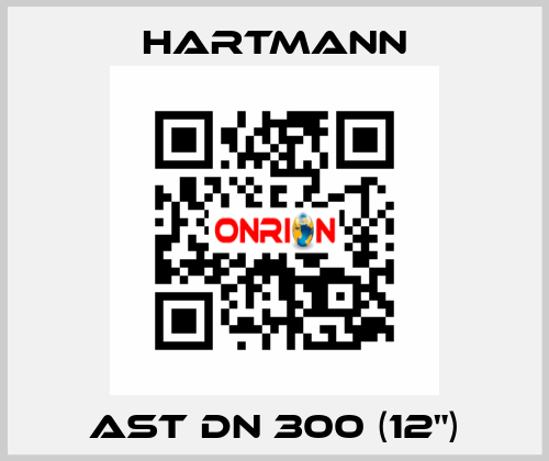 AST DN 300 (12") Hartmann