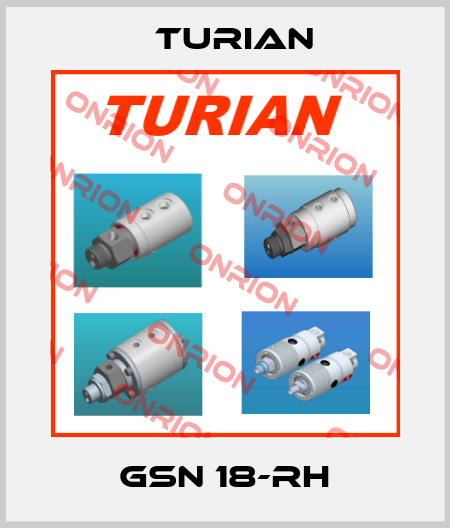 GSN 18-RH Turian