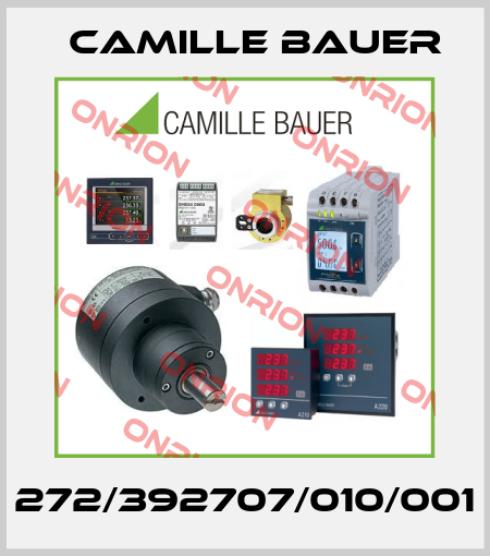 272/392707/010/001 Camille Bauer