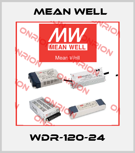 WDR-120-24 Mean Well