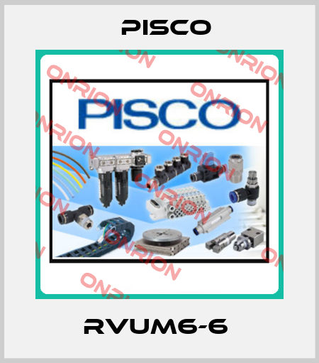 RVUM6-6  Pisco