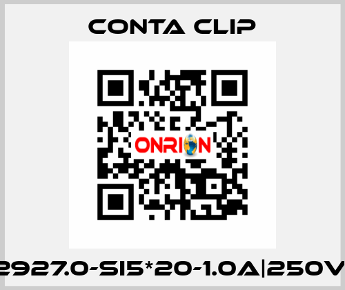 2927.0-SI5*20-1.0A|250V| Conta Clip