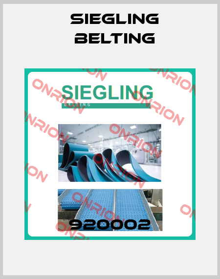 920002 Siegling Belting