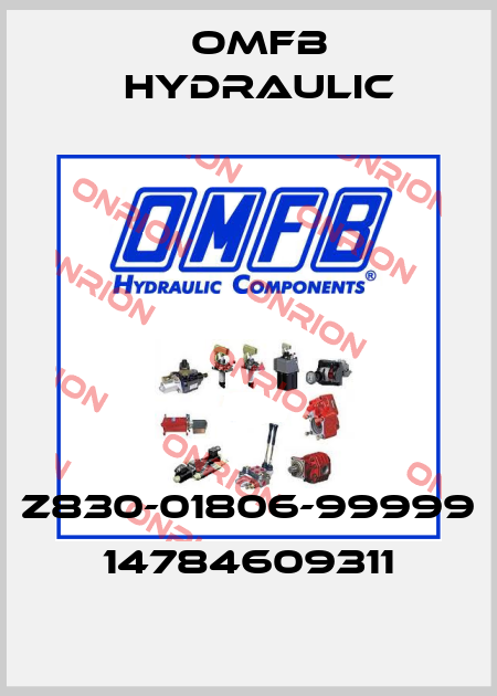Z830-01806-99999 14784609311 OMFB Hydraulic