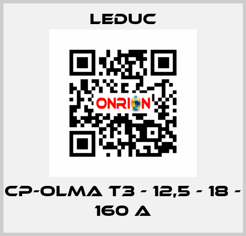 CP-OLMA T3 - 12,5 - 18 - 160 A Leduc