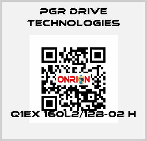 Q1EX 160L2/12B-02 H PGR Drive Technologies