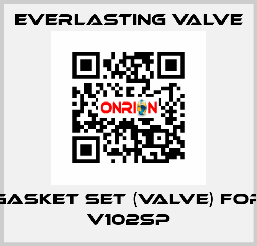 GASKET SET (VALVE) for V102SP Everlasting Valve
