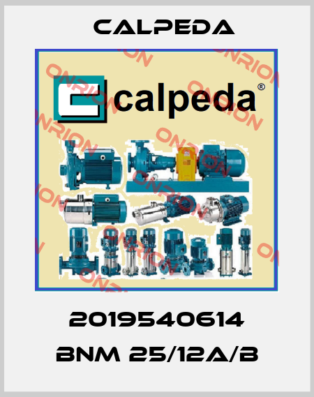 2019540614 BNM 25/12A/B Calpeda