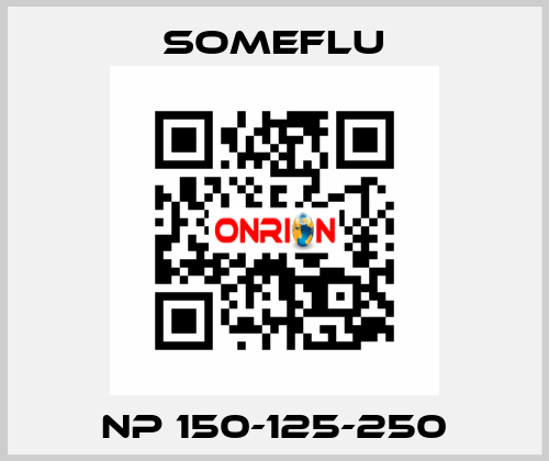 NP 150-125-250 SOMEFLU