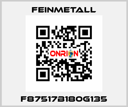 F87517B180G135 FEINMETALL