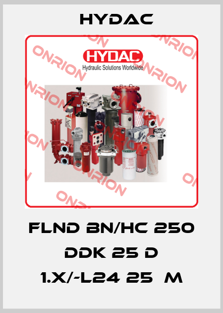 FLND BN/HC 250 DDK 25 D 1.x/-L24 25µm Hydac