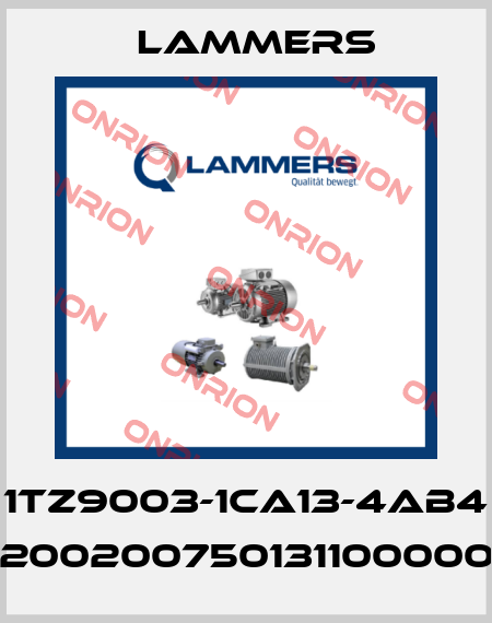 1TZ9003-1CA13-4AB4 (02002007501311000000) Lammers