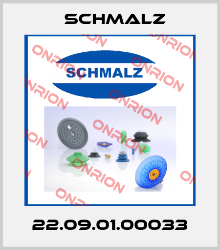 22.09.01.00033 Schmalz