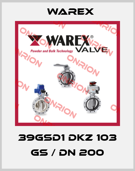 39GSD1 DKZ 103 GS / DN 200 Warex