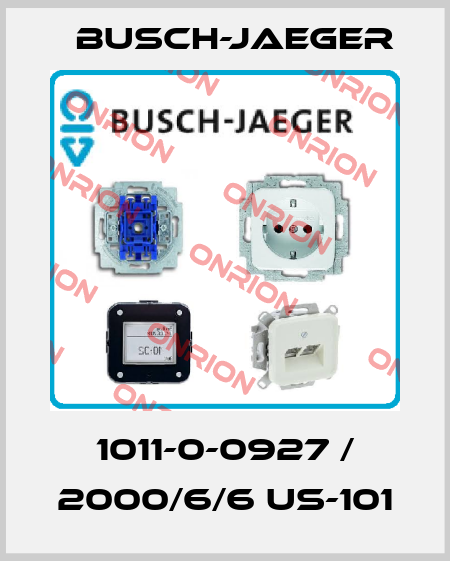 1011-0-0927 / 2000/6/6 US-101 Busch-Jaeger