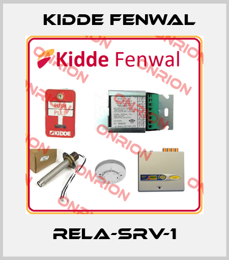 RELA-SRV-1 Kidde Fenwal