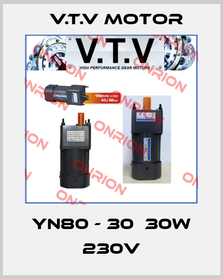 YN80 - 30  30W 230V V.t.v Motor