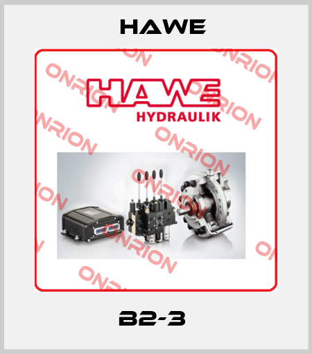 B2-3  Hawe