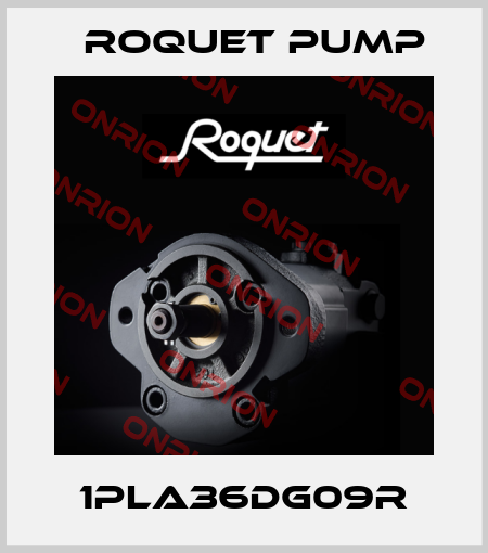 1PLA36DG09R Roquet pump