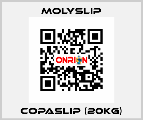 Copaslip (20kg) Molyslip